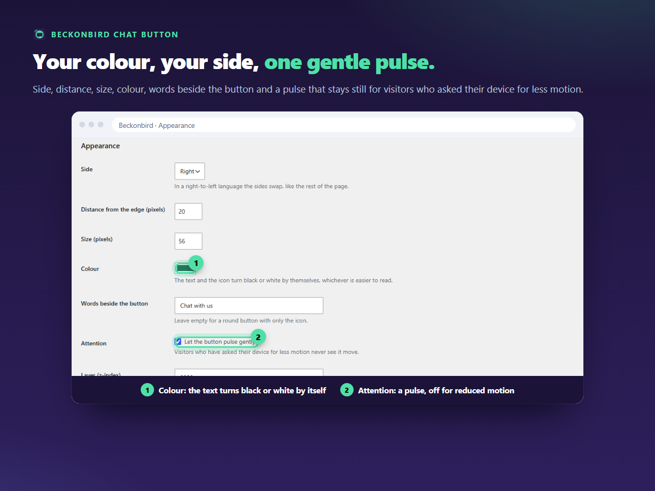The Appearance tab: the side, the distance from the edge, the size, the colour, the words beside the button and the layer.